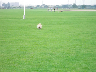 201106pu-2.jpg