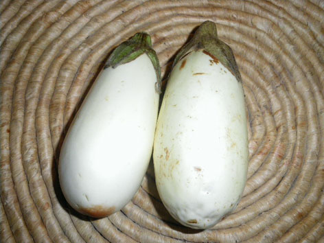 IMGP1153.JPG