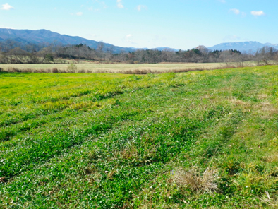 urayama201011.jpg