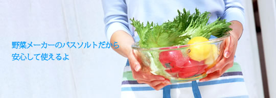 ��؃��[�J�[�̃o�X�\���g������A���S���Ďg�����