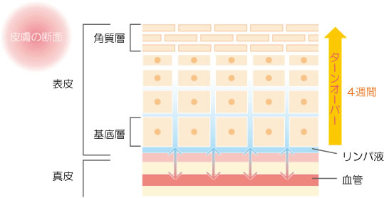 イメージ図