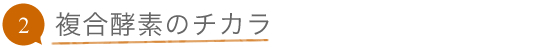 2. 複合酵素のチカラ