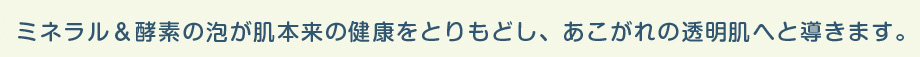 ミネラル＆酵素の泡が肌本来の健康をとりもどし、あこがれの透明肌へと導きます。